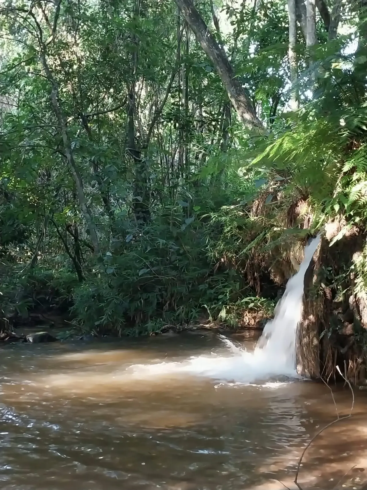 La communauté française au Paraguay